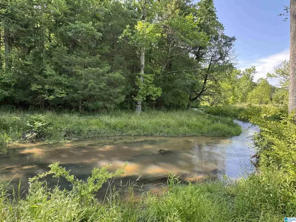 Remlap, AL 35133,1045A SAND VALLEY ROAD