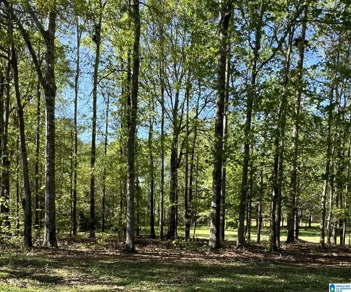 0 FAWN DRIVE #0, Clanton, AL 35045