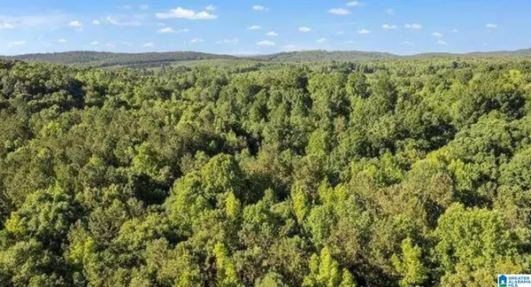 8120 COUNTY ROAD 25 #2, Heflin, AL 36264