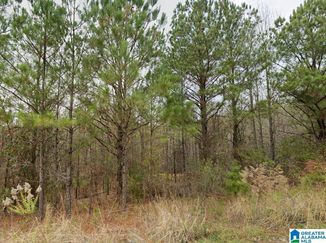 0 ROSSER ROAD #-, Duncanville, AL 35456