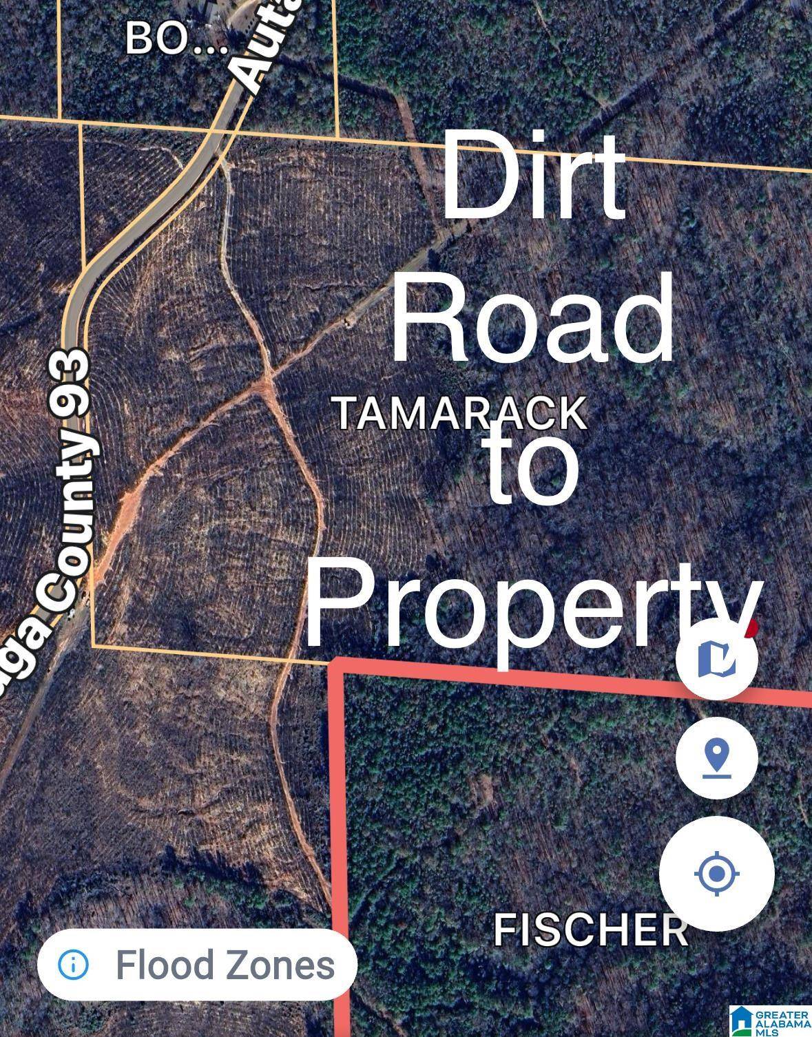 Billingsley, AL 36749,0 COUNTY ROAD 93 #NA