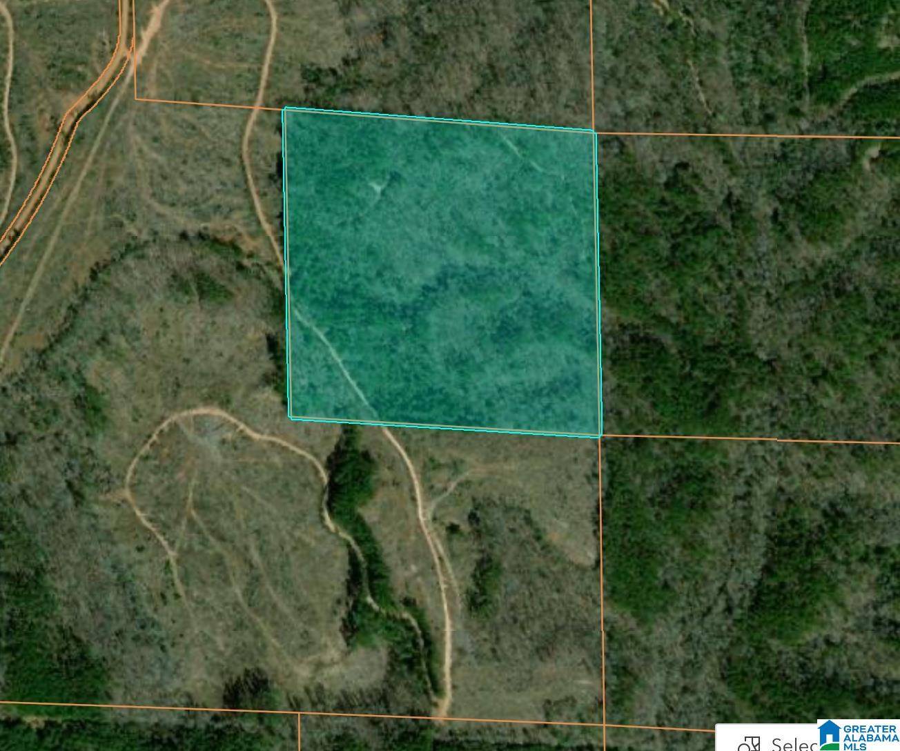 0 COUNTY ROAD 93 #NA, Billingsley, AL 36749