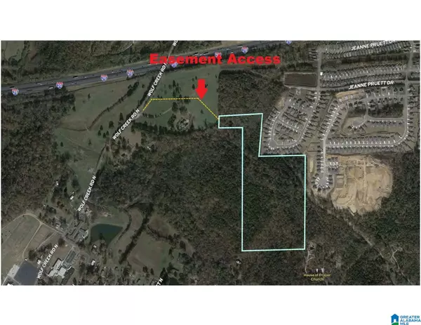 Pell City, AL 35125,N WOLF CREEK ROAD #34 Acres
