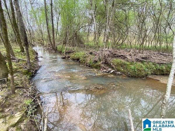 N WOLF CREEK ROAD #34 Acres, Pell City, AL 35125