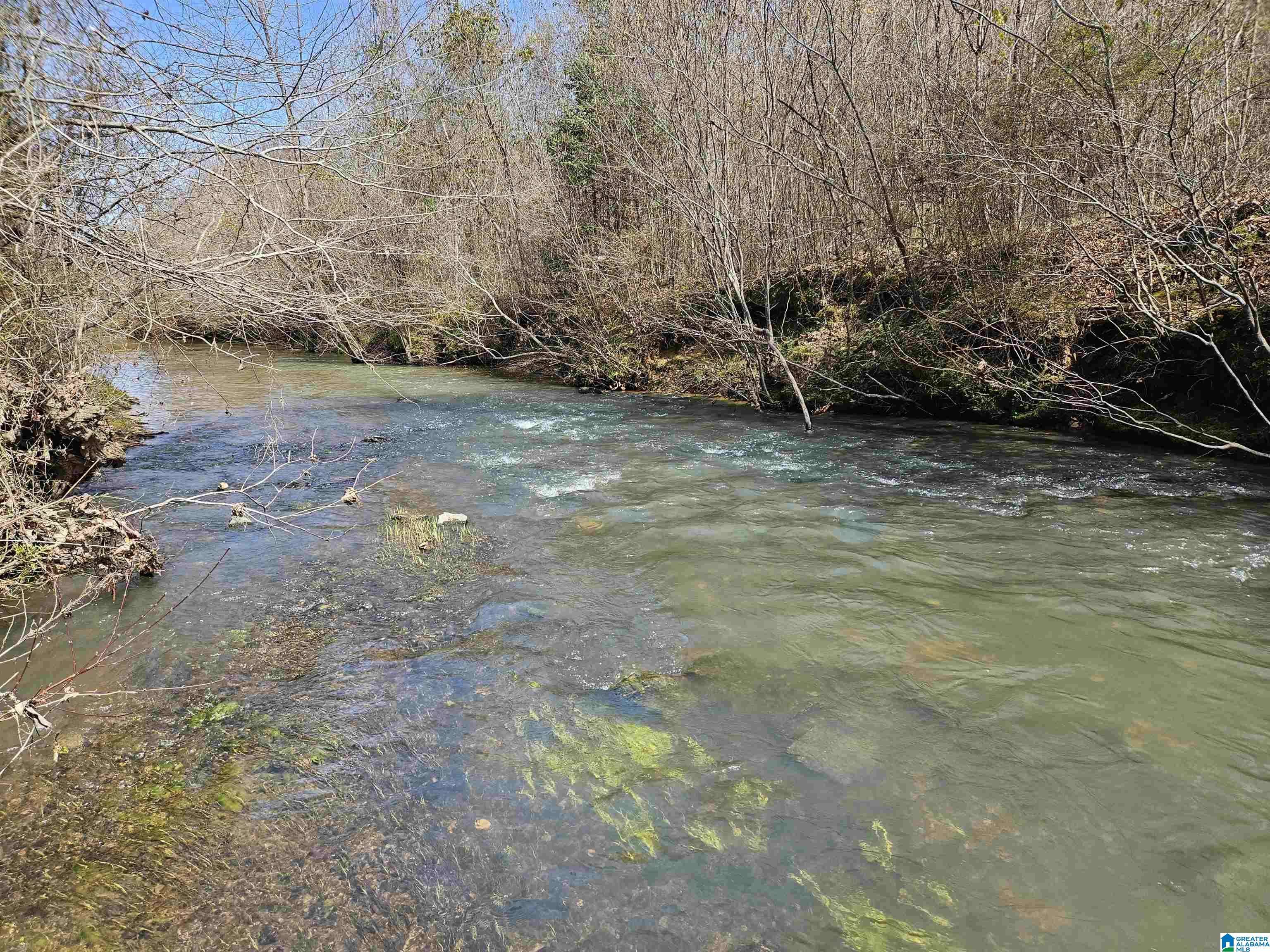 000 SHOAL CREEK ROAD #0, Ashville, AL 35953
