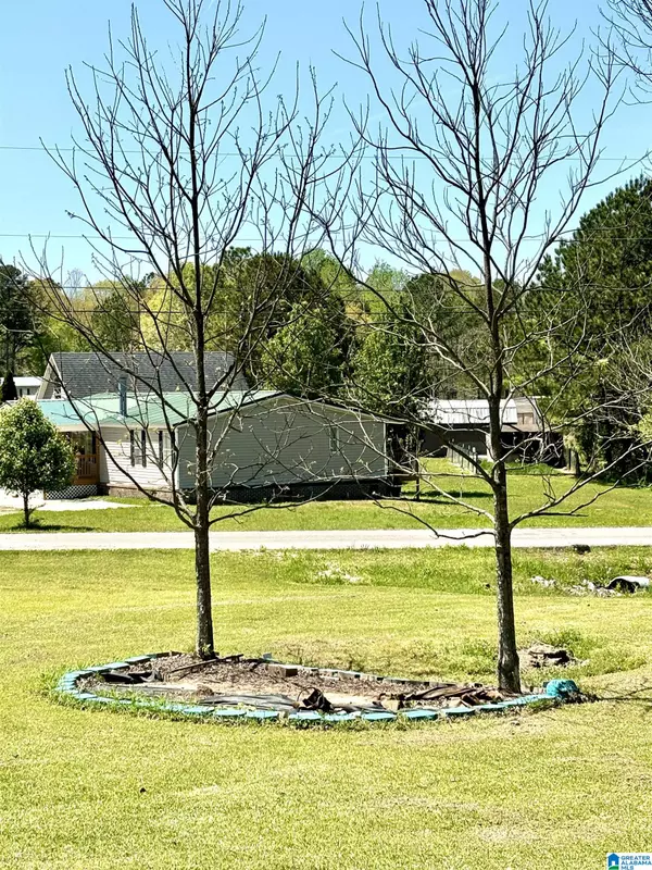 Odenville, AL 35120,100 ABINGDON TRACE