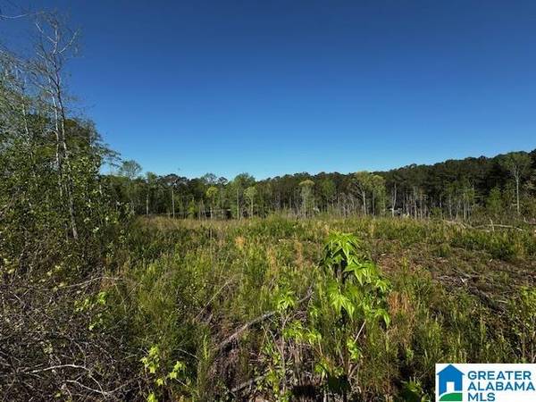 14875 HIGHWAY 431 #20 ac, Wedowee, AL 36278