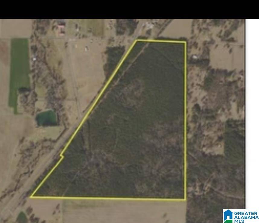Talladega, AL 35160,0 CURRY STATION ROAD #0