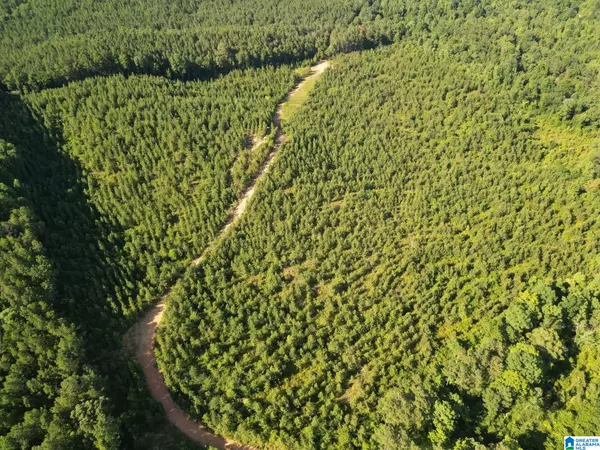 Carbon Hill, AL 35549,00 NUBBIN RIDGE LANE #N/A
