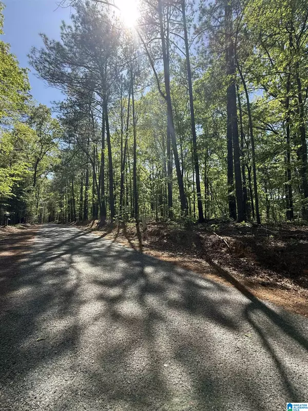 Sylacauga, AL 35151,0 VICKS LANE #0