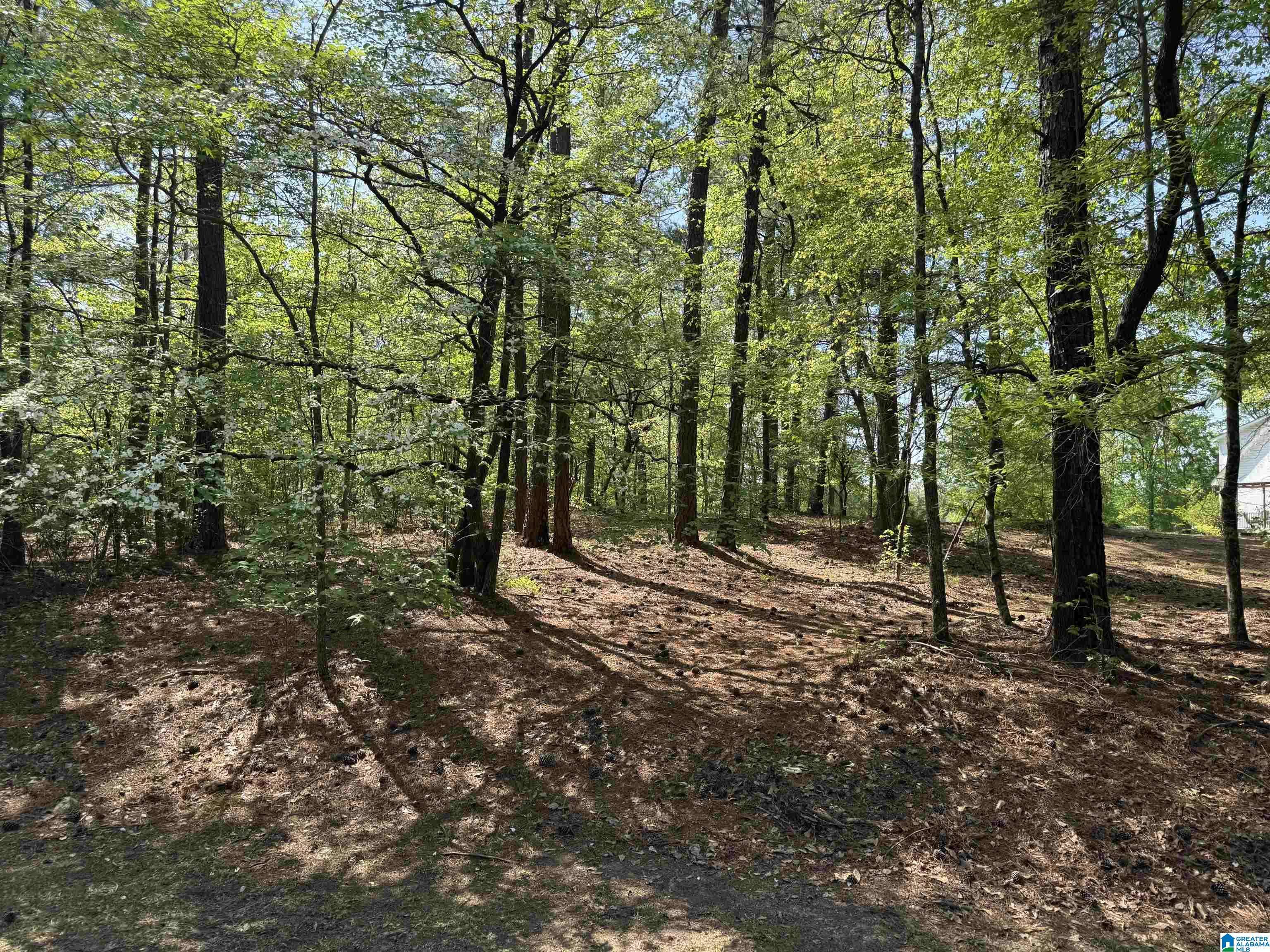 COUNTRY MANOR DRIVE #3.11 acres, Sterrett, AL 35147