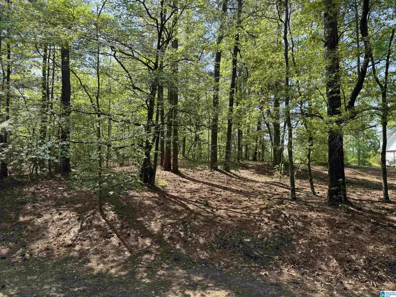 COUNTRY MANOR DRIVE #3.11 acres, Sterrett, AL 35147