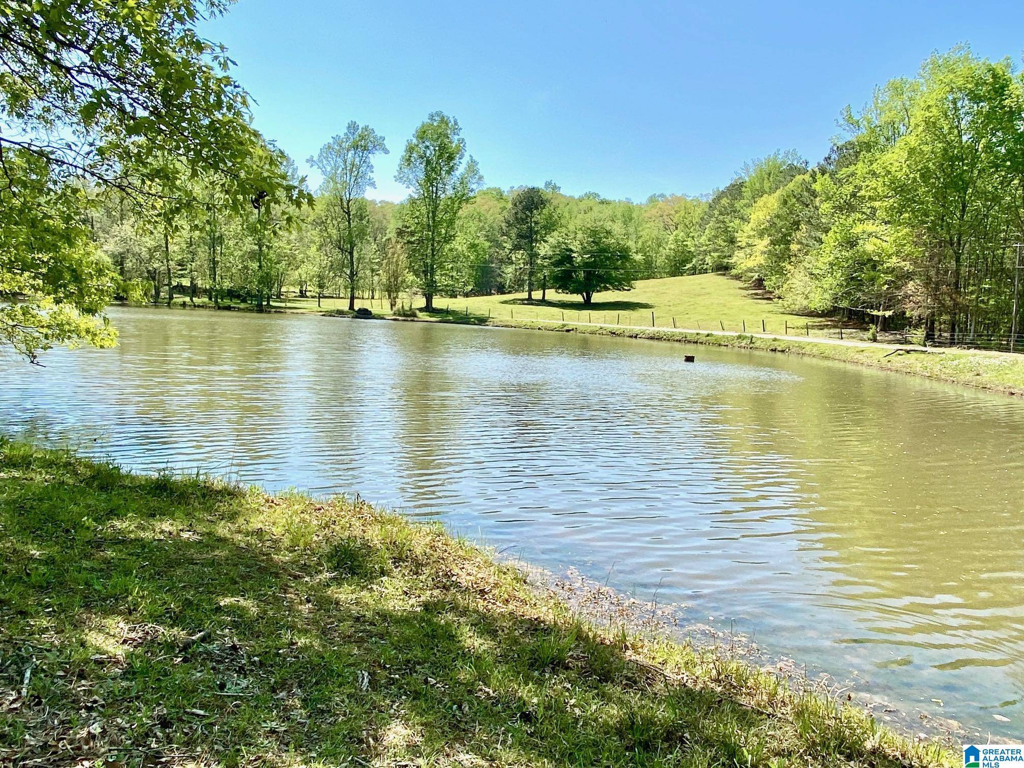 109 COUNTY ROAD 801, Delta, AL 36258
