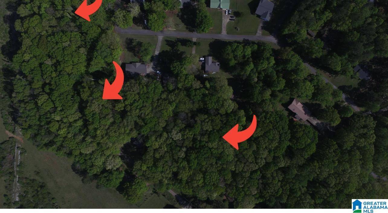 Alexandria, AL 36250,0 PAGE CIRCLE #18.75 Acres