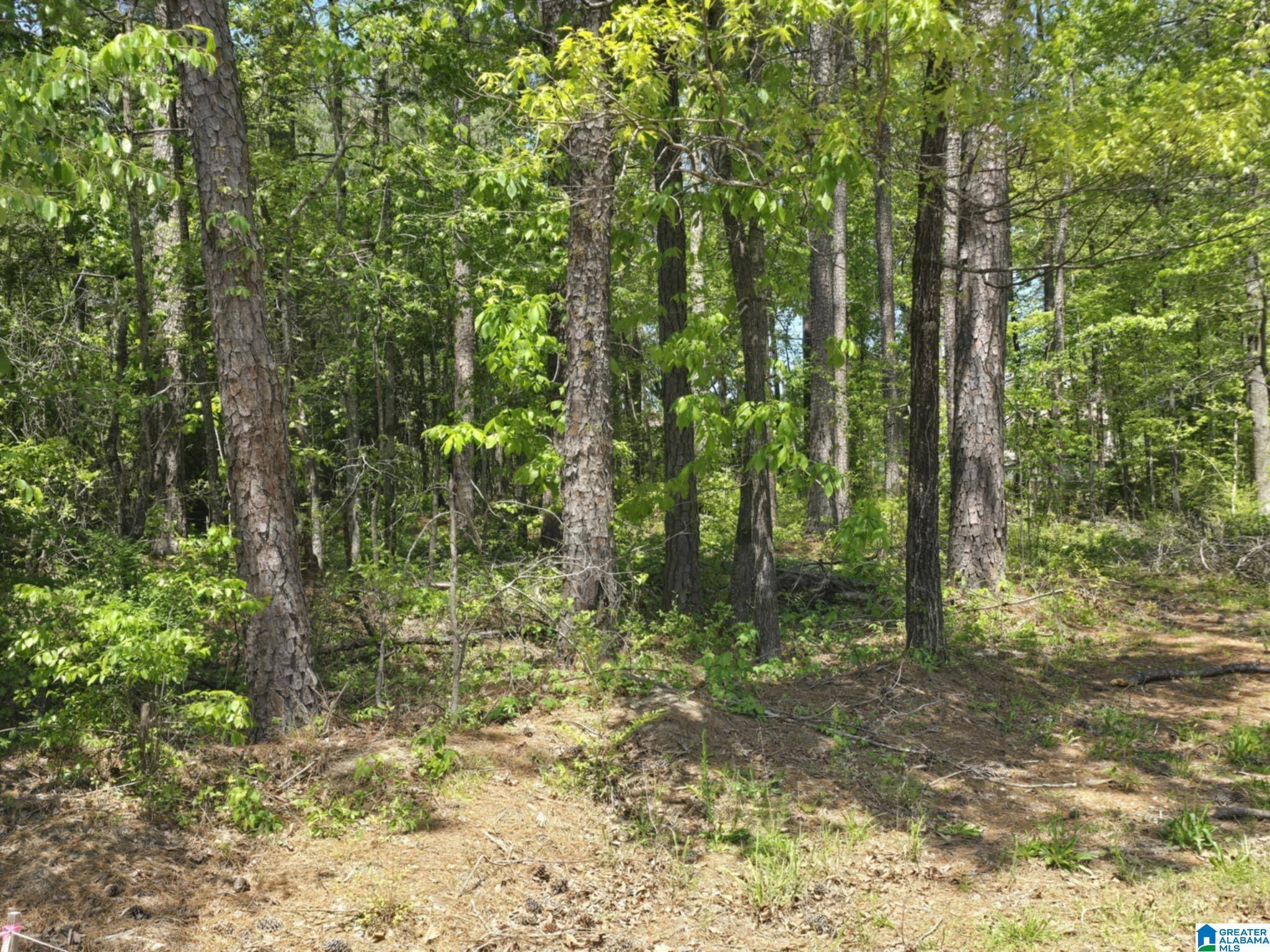 Mccalla, AL 35111,20872 CHRISTINA DRIVE #13