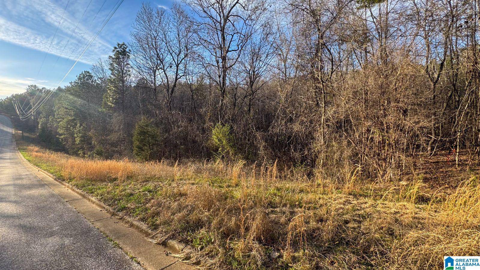 Talladega, AL 35160,SOUTHRIDGE DRIVE #16