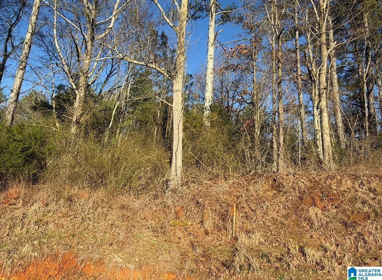 431 LIBERTY ROAD #00000, Blountsville, AL 35031