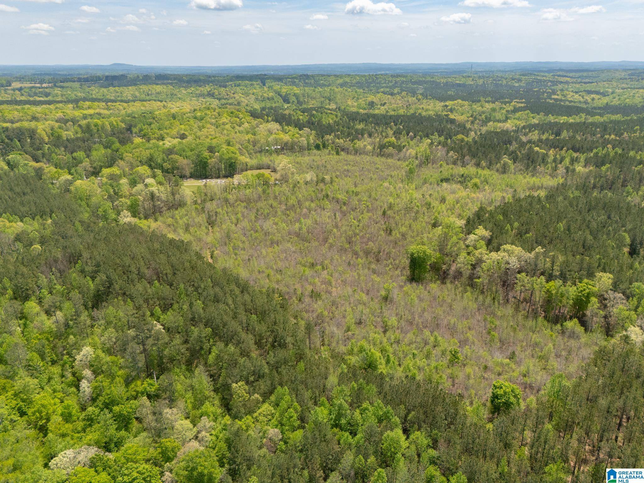 Muscadine, AL 36269,0 COUNTY ROAD 49 #1