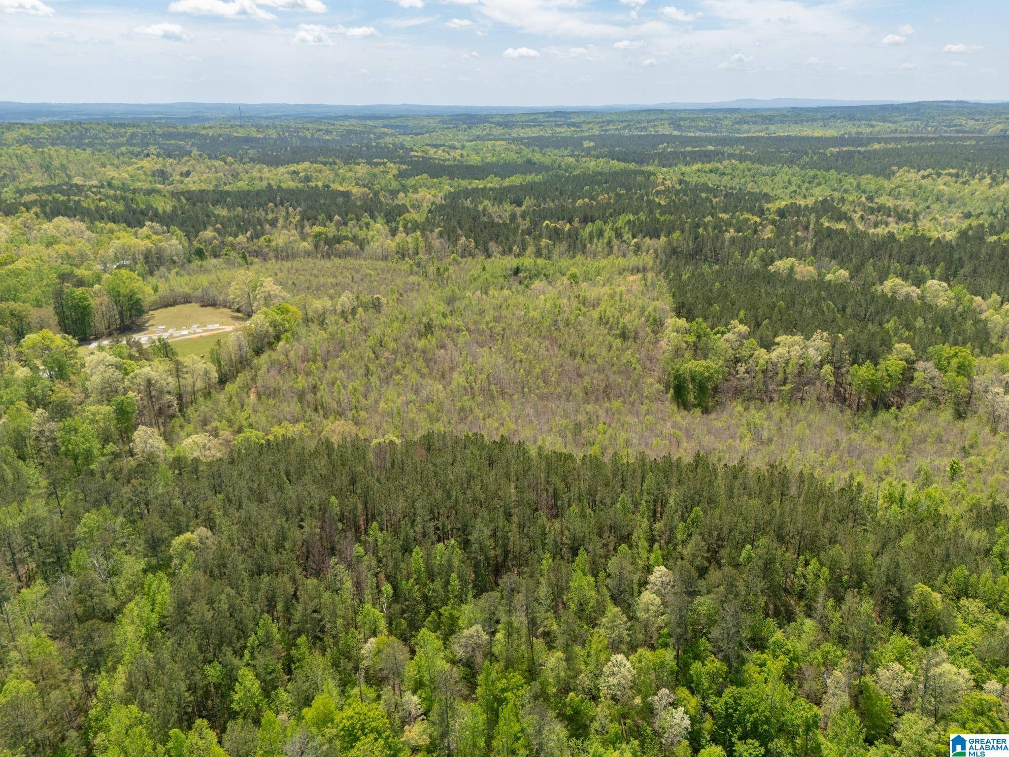 Muscadine, AL 36269,0 COUNTY ROAD 49 #1