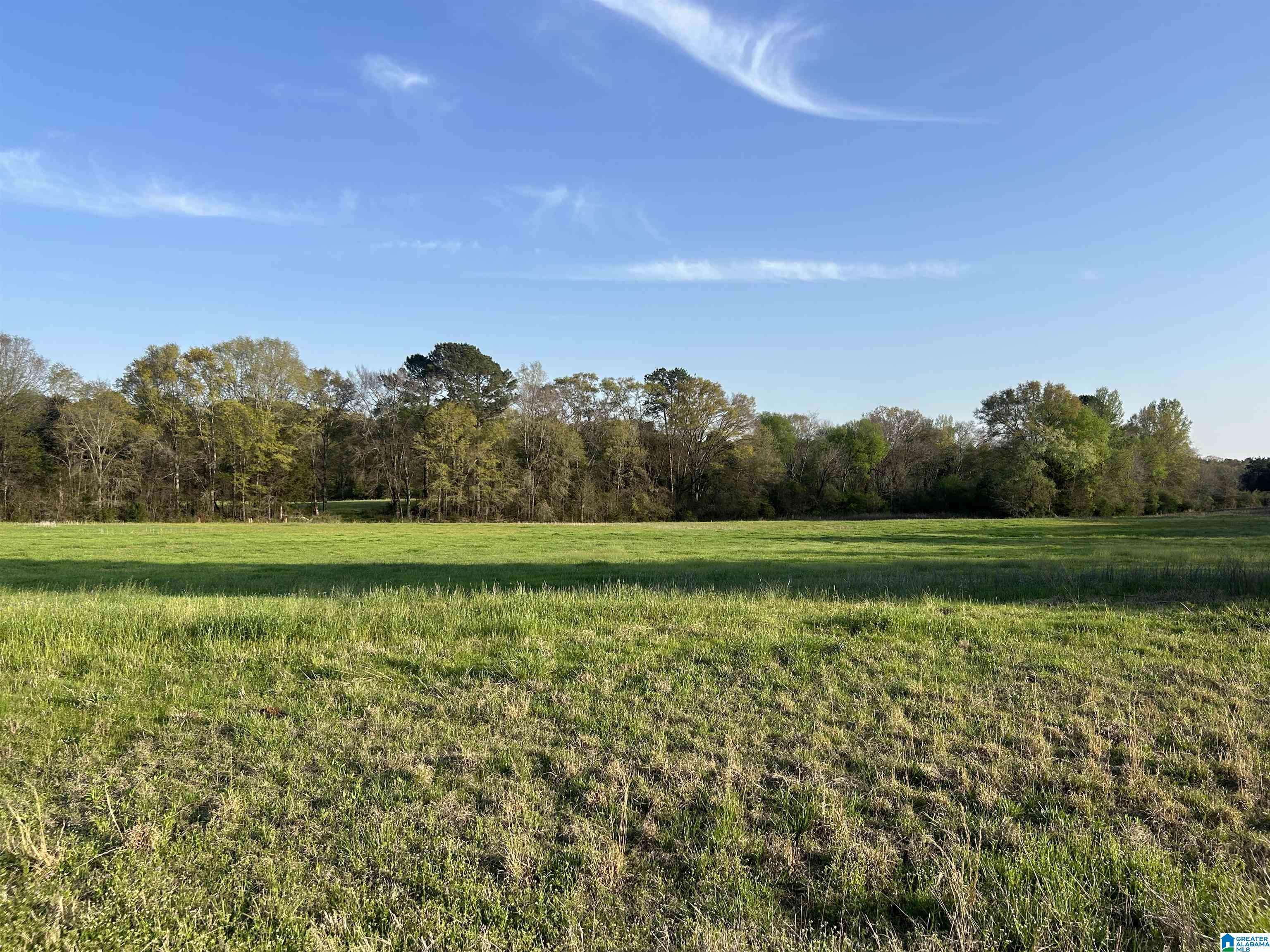 00 SPEEDWAY BOULEVARD #00,  Lincoln,  AL 35096