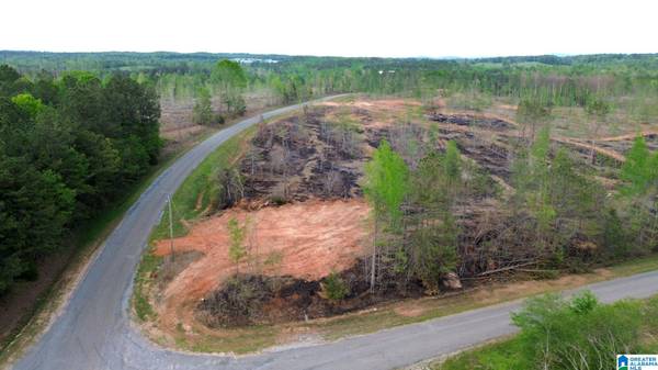 CENTER HILL ROAD #5.79 acres, Delta, AL 36258