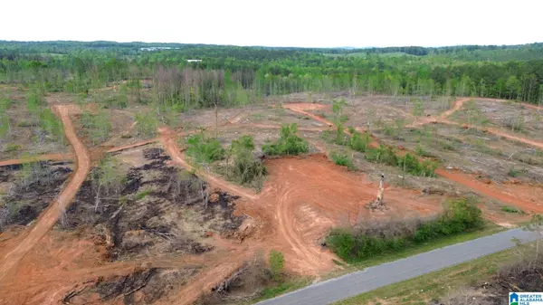 CENTER HILL ROAD #4.47 acres, Delta, AL 36258