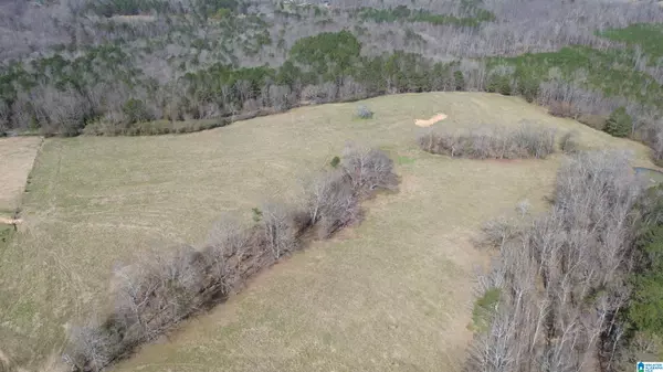 Altoona, AL 35952,1404 BURTON LOOP ROAD #1404