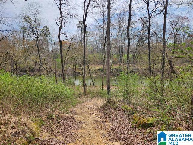 SHERWOOD DRIVE, Altoona, AL 35952
