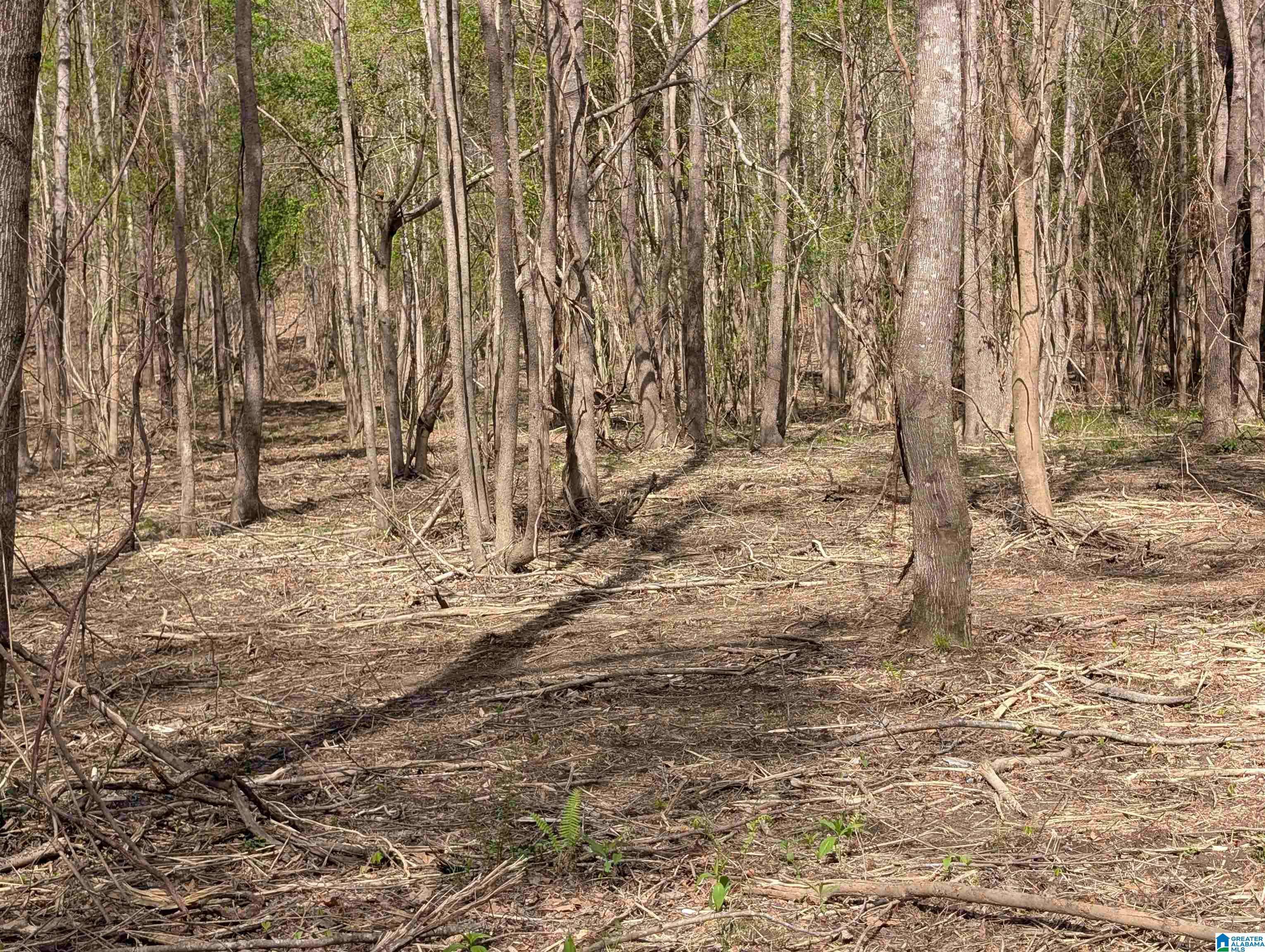 Cordova, AL 35550,Lot 1-A RIVER CREST DRIVE #A