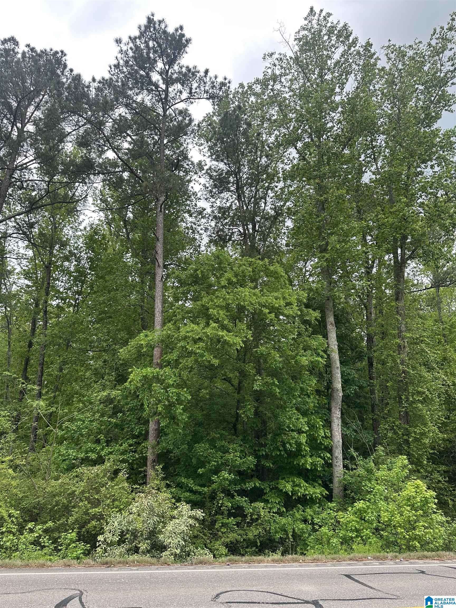 0 HIGHWAY 174 #0, Pell City, AL 35125