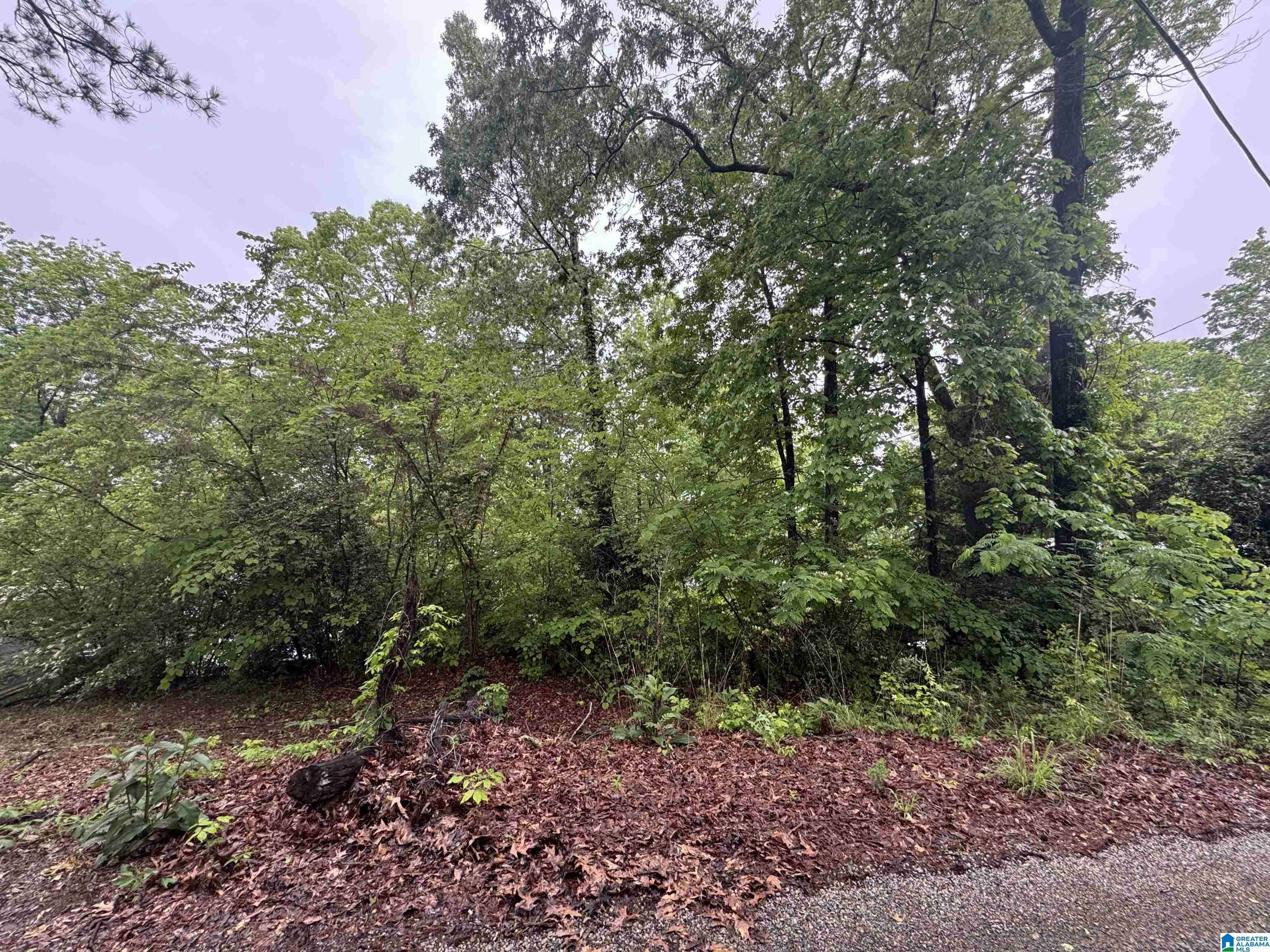 Talladega, AL 35160,0 RIVER TERRACE DRIVE #16
