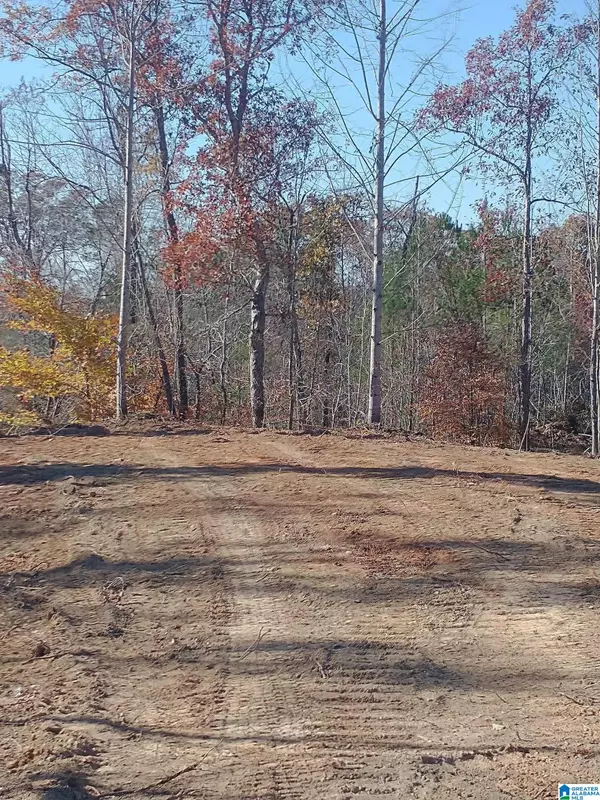 End of SERENITY LANE #24 acres, Talladega, AL 35160