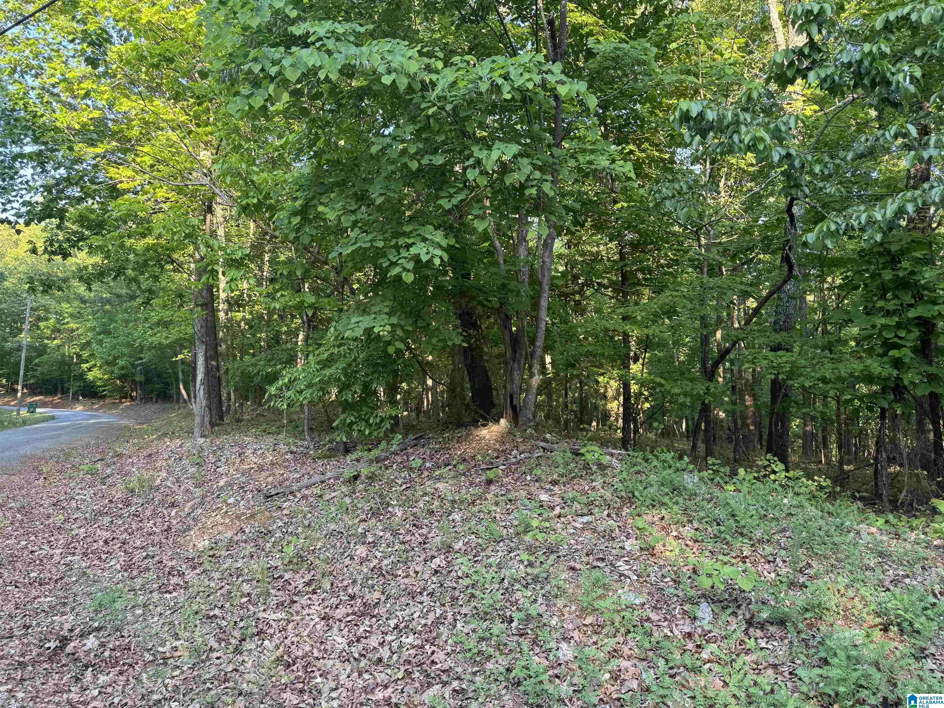 Alpine, AL 35014,0 DAVIS ACRES DRIVE #72 & 73
