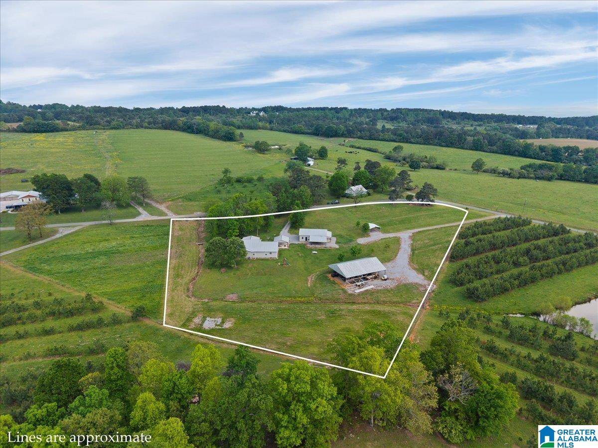 Oneonta, AL 35121,239 GILLILAND ROAD