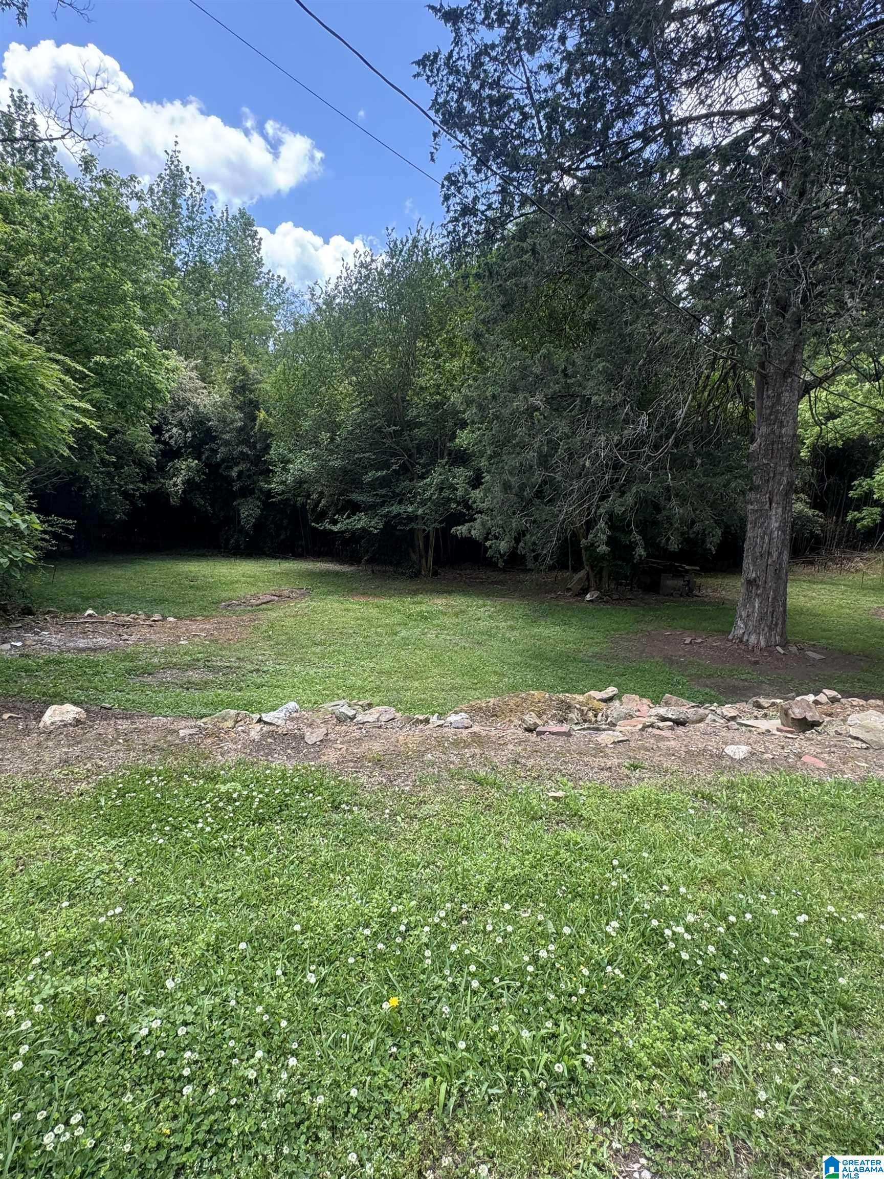 Pinson, AL 35126,9410 OLD TENNESSEE PIKE ROAD
