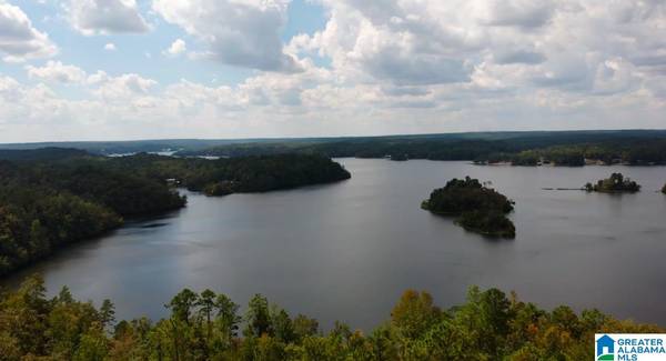 2108 EAGLE MOUNTAIN ROAD #1, 6, 16-18, Rockford, AL 35136