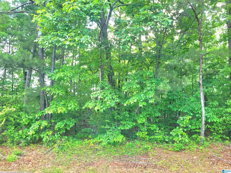 THOMAS AVENUE #1, Talladega, AL 35160