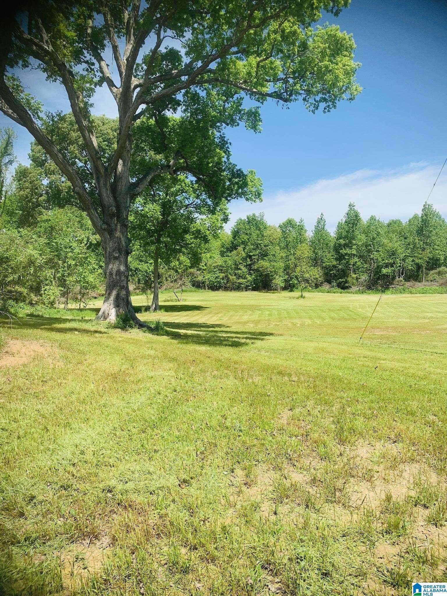 3475 COUNTY ROAD 29 #0, Heflin, AL 36264