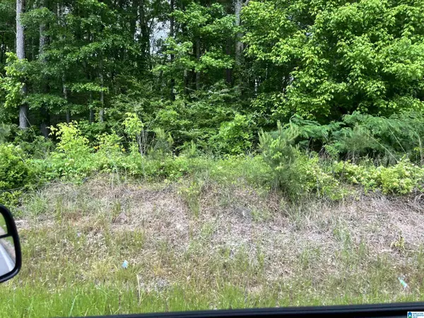 Pell City, AL 35125,0 MINERAL SPRINGS ROAD