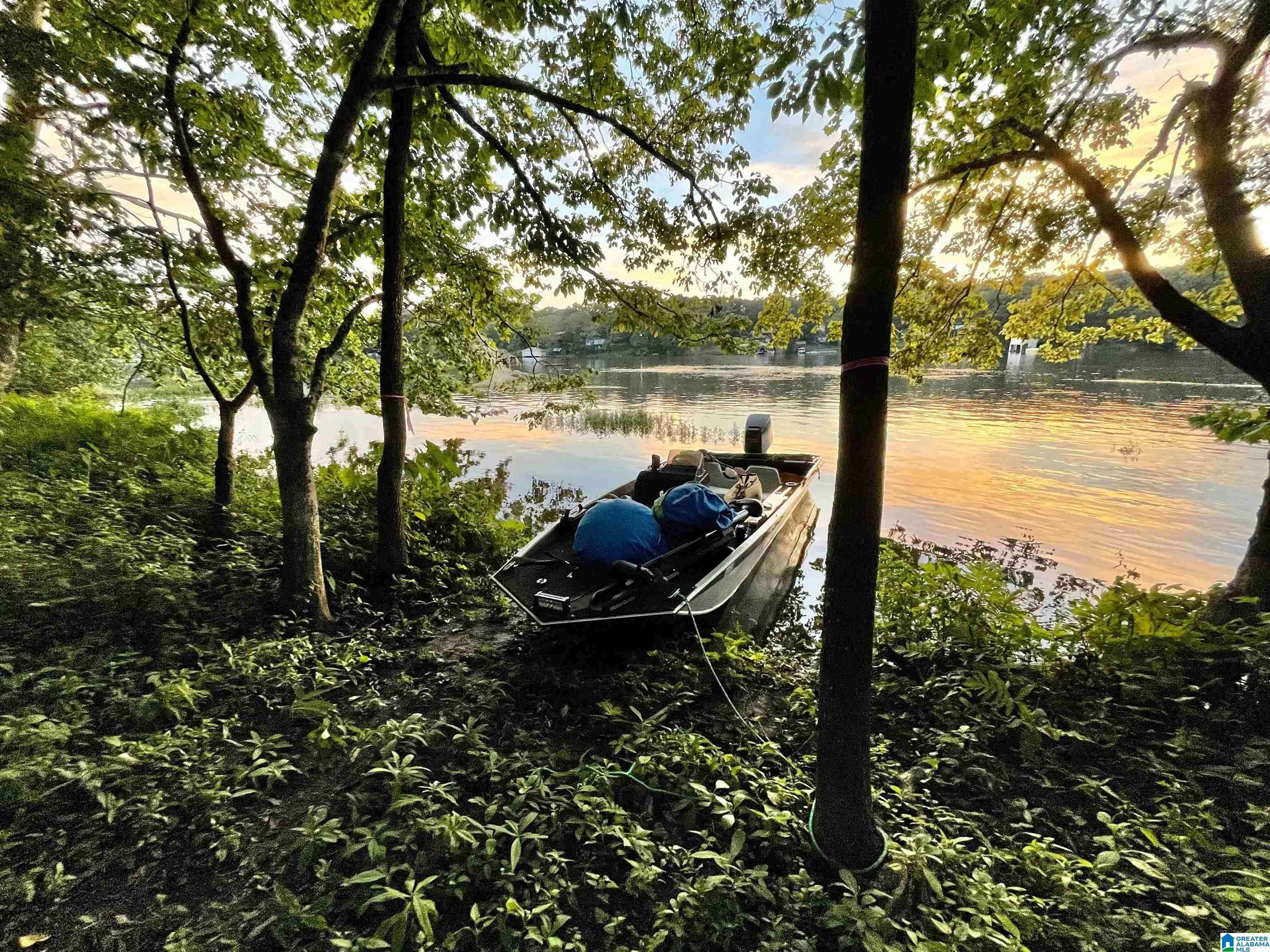 1 FRIENDLY ISLAND #0, Wilsonville, AL 35186