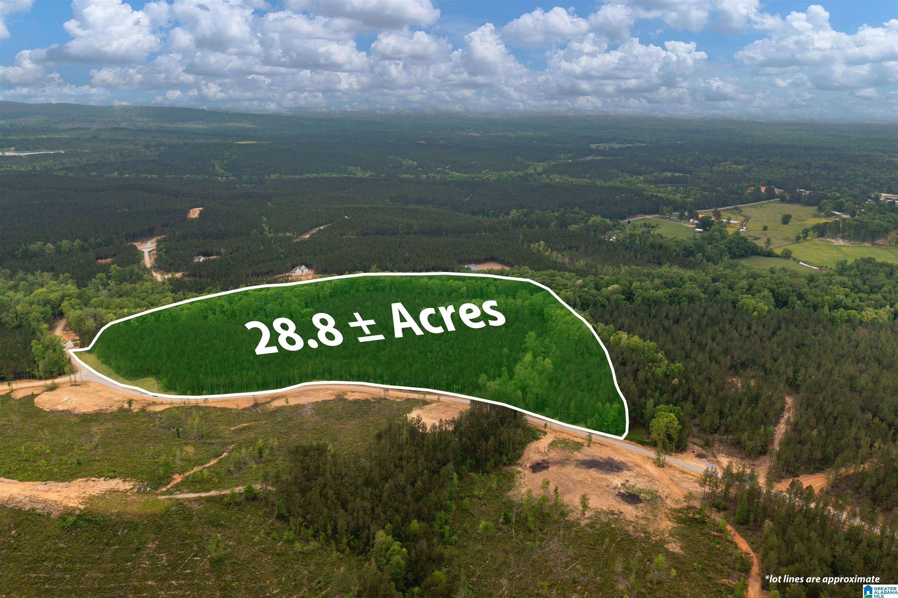 Track 17 HERITAGE PINES WAY #17, Chelsea, AL 35040