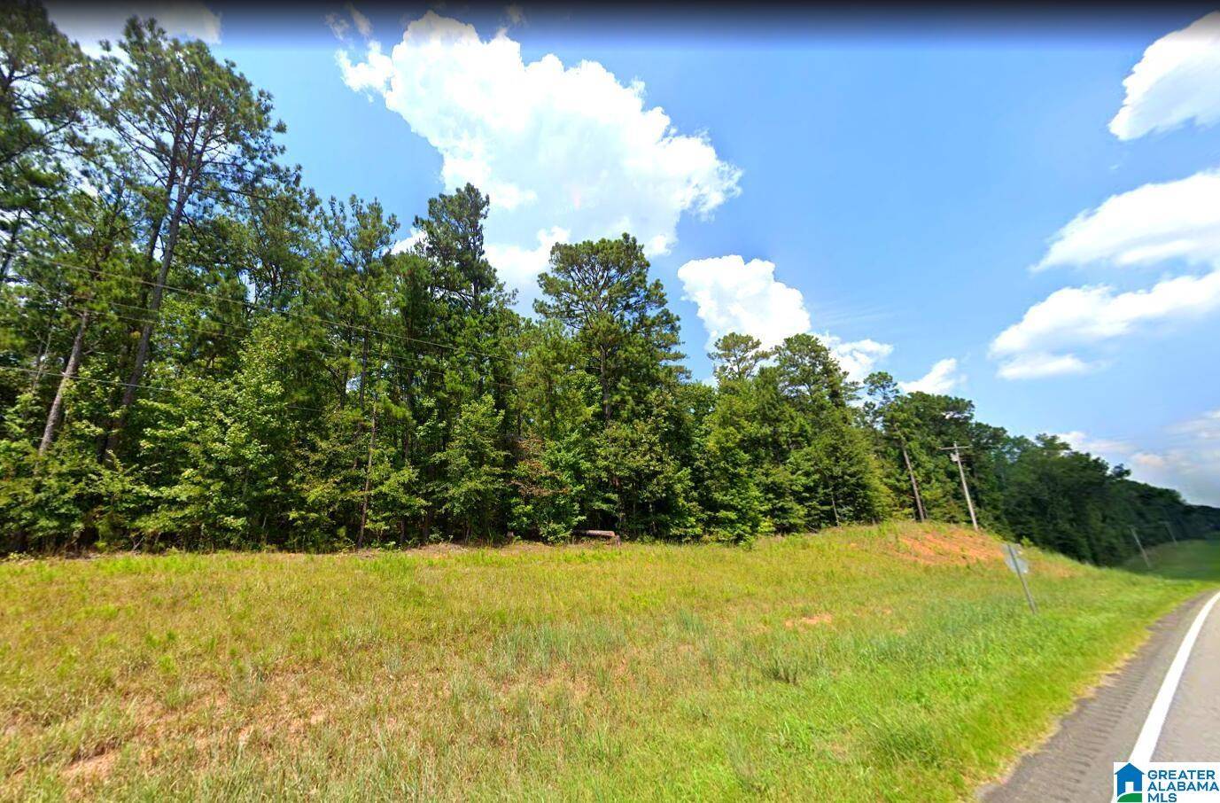 0 AL HIGHWAY 22 #0, Rockford, AL 35136