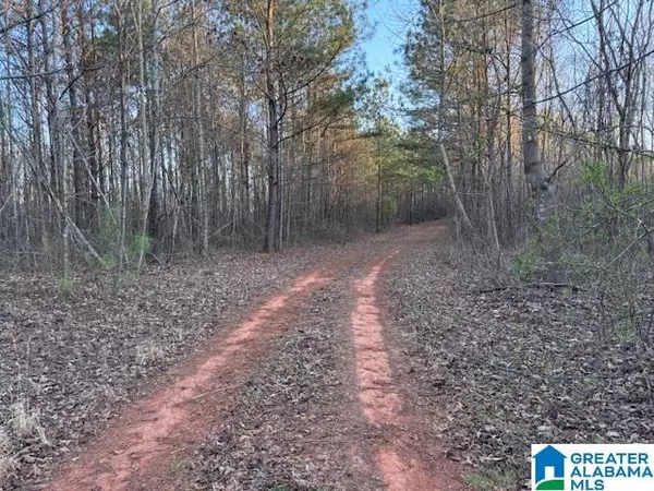 Wadley, AL 36276,3586-A COUNTY ROAD 26 #57 Ac