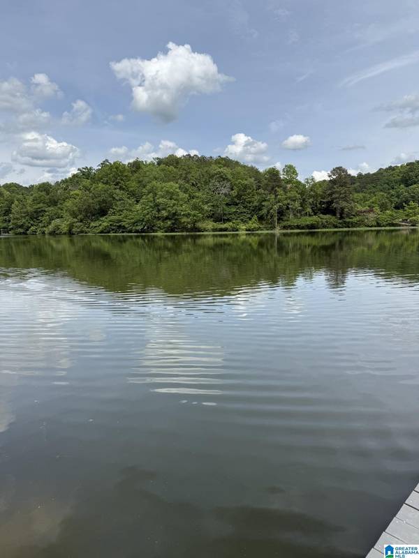 lot 4 LAKESHORE CIRCLE #4, Warrior, AL 35180