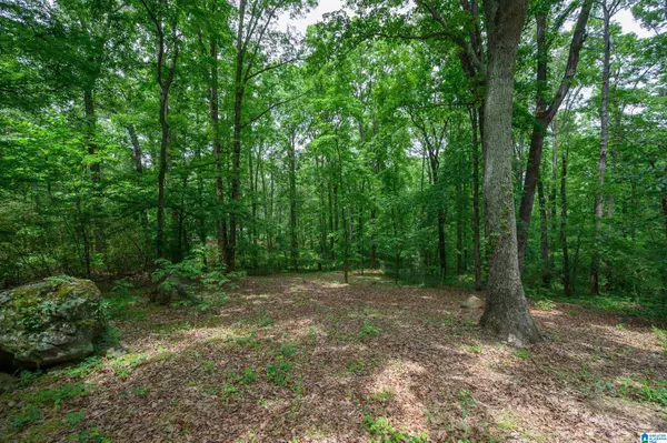 Helena, AL 35022,4410 S SHADES CREST ROAD