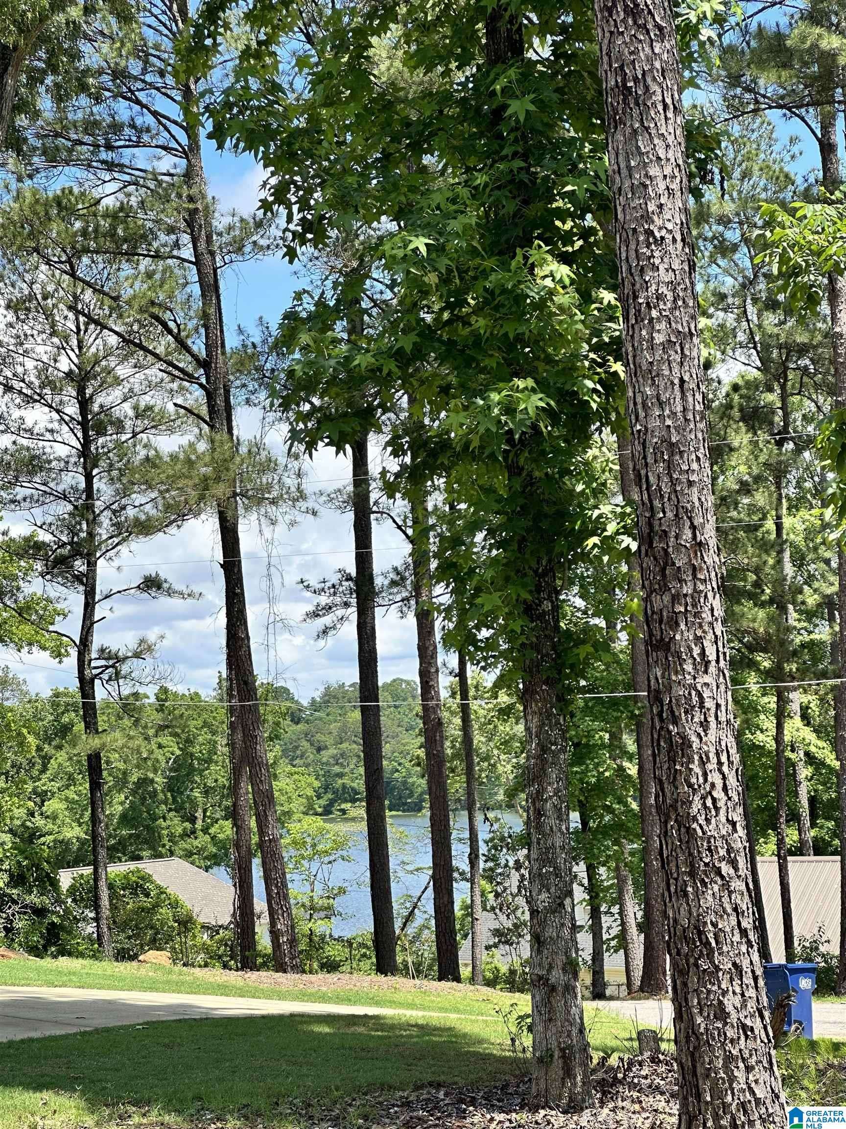 Cropwell, AL 35054,350 BLACK ACRES ROAD #11