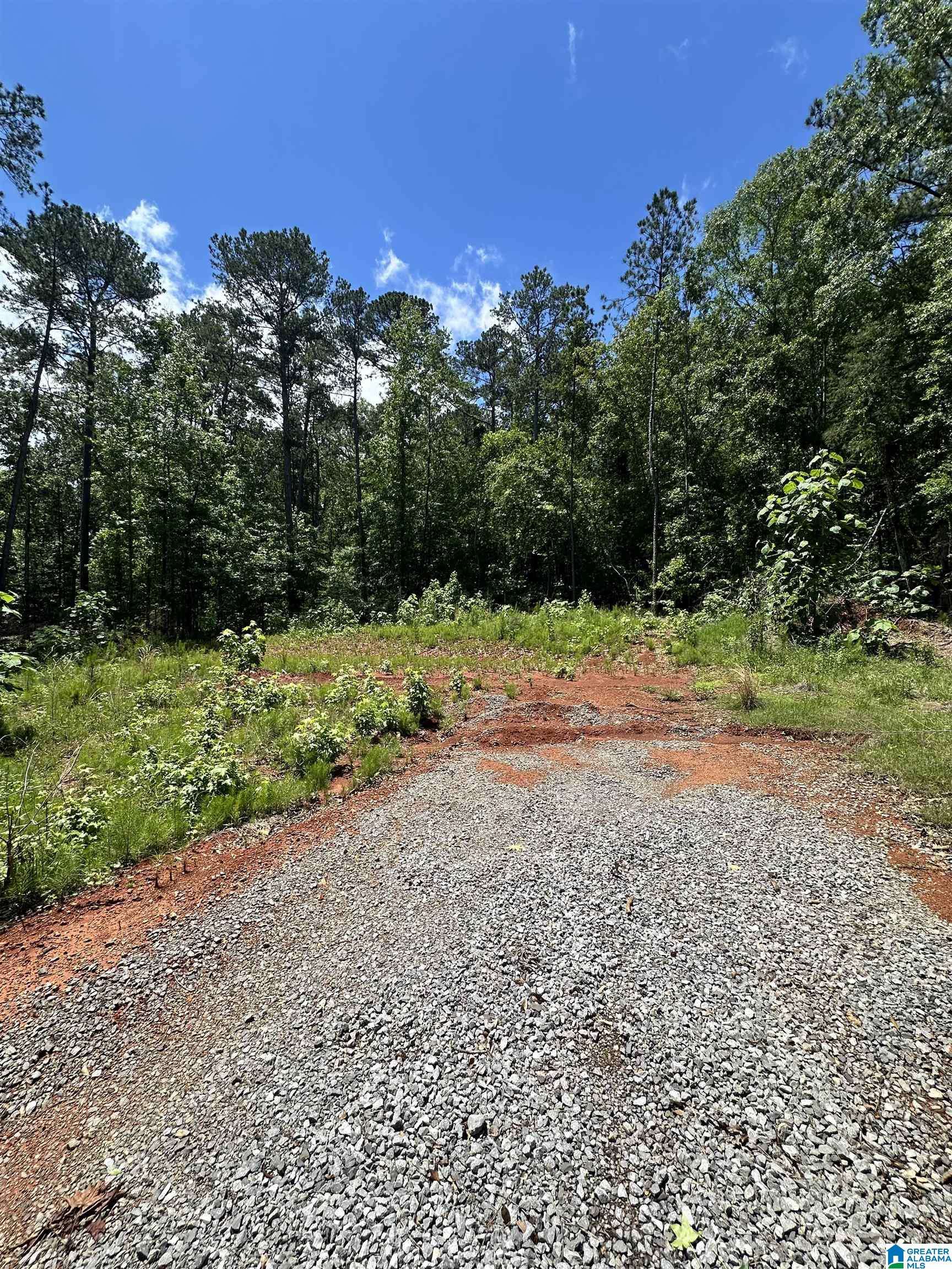 Cropwell, AL 35054,350 BLACK ACRES ROAD #11