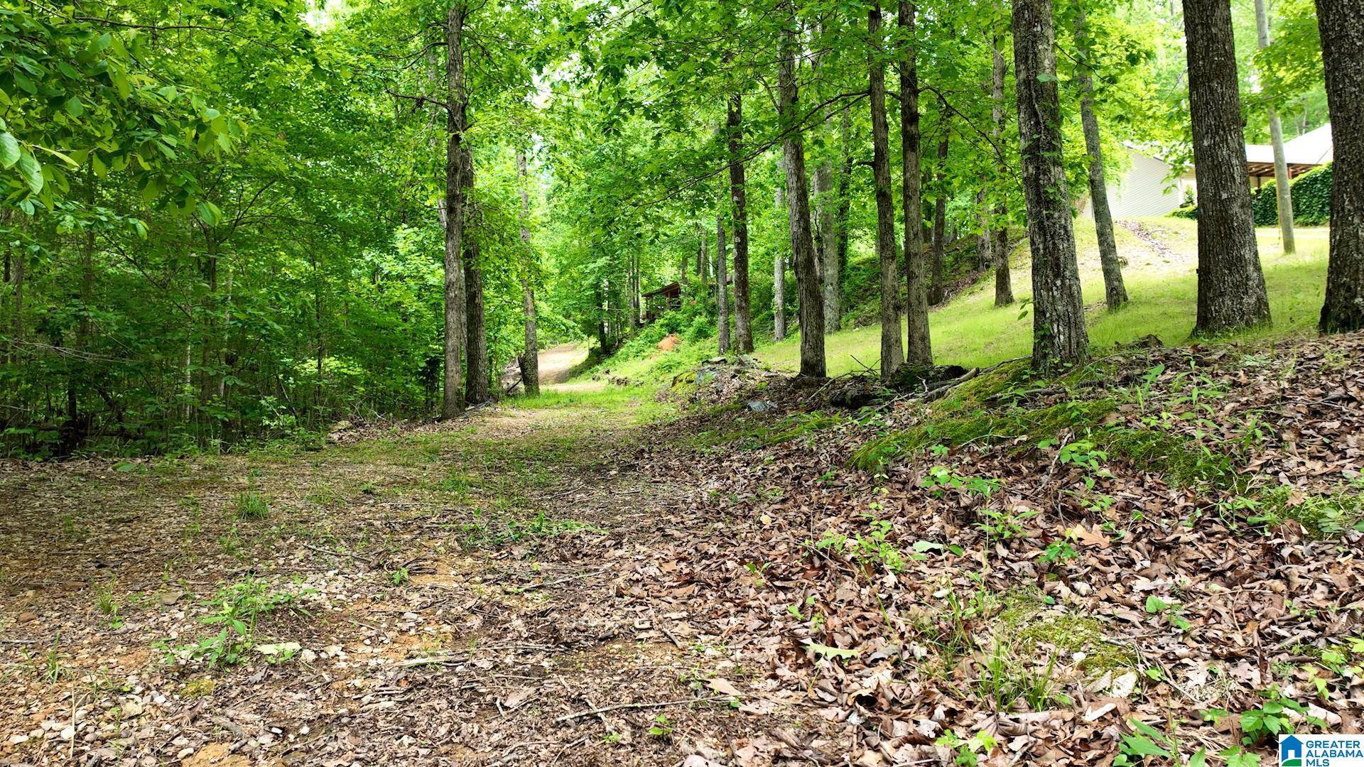 COLVIN SPRINGS ROAD #6, Ashville, AL 35953