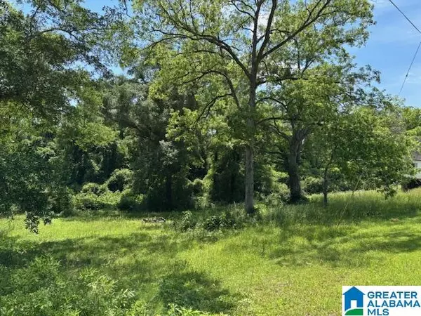 2.19 acres W BROAD STREET #1, Wedowee, AL 36278