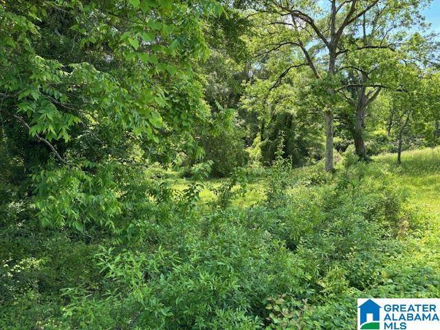 Wedowee, AL 36278,2.19 acres W BROAD STREET #1
